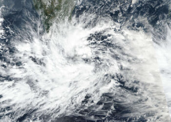 Cyclone Ditwah Alert: Heavy Rains Forecast for Coastal Andhra & Rayalaseema—IMD Issues Fresh Warnings