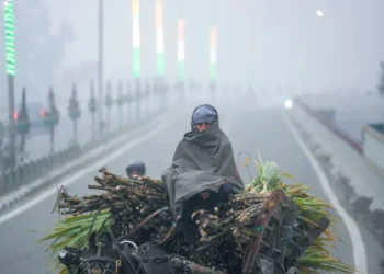 India Meteorological Department (IMD) Warns of Severe Fog, Cold Wave & Thunderstorms Across India